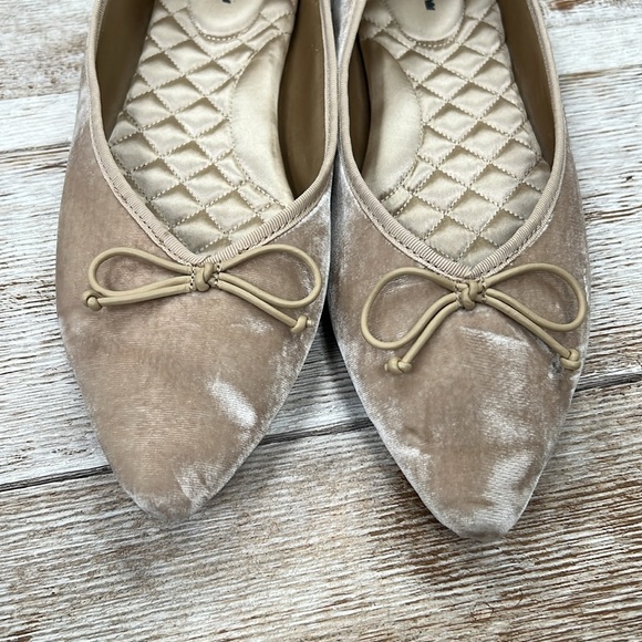 Birdies Goldfinch Pointed Toe Ballet Flat Shoe - Picture 8 of 8